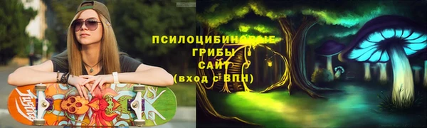 молекула духа Арсеньев
