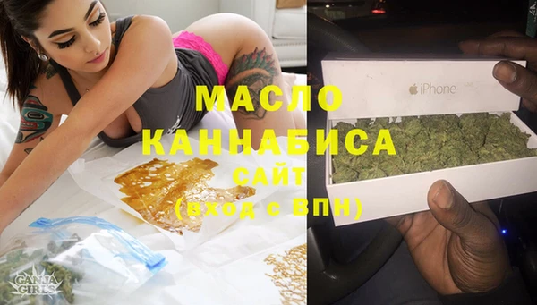 молекула духа Арсеньев