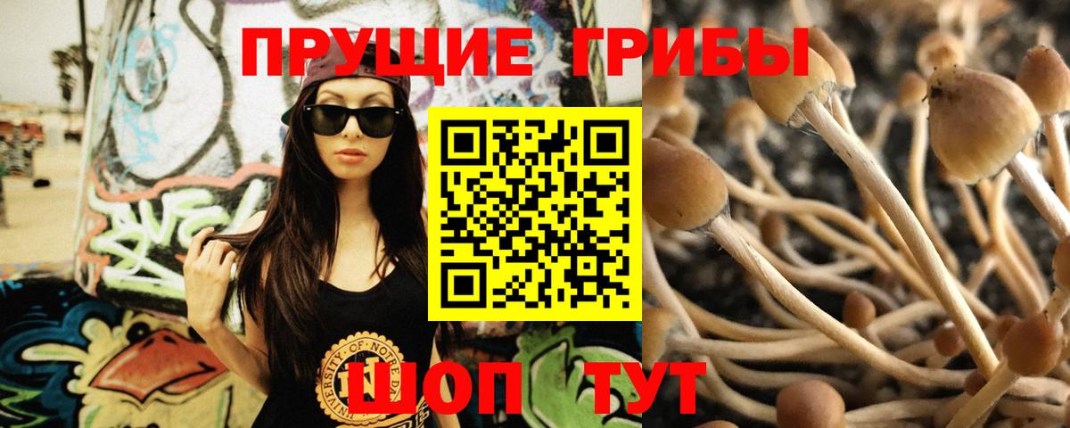 Галлюциногенные грибы Magic Shrooms  Вход с VPN  Лянтор 